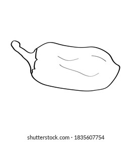 Pimienta. Icono de doodle dibujado a mano. Ilustración vectorial en blanco y negro aislada en fondo blanco. Decoración para tarjetas de felicitación, carteles, parches, huellas para ropa, emblemas.