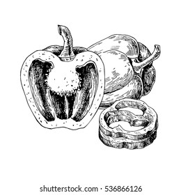 Pepper hand drawn vector illustration. Vegetable engraved style object, full, half and slices. Isolated bell pepper. Detailed vegetarian food drawing. Farm market product. Paprika icon