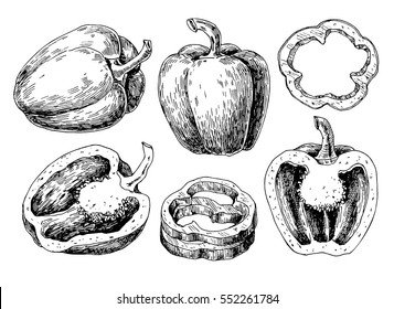 Pepper Draw Hd Stock Images Shutterstock