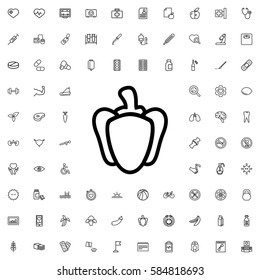 pepper icon illustration isolated vector sign symbol. Health icons set.