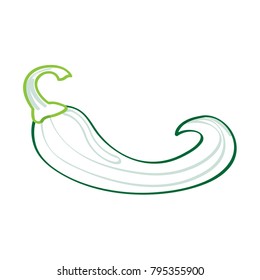 Pepper icon isolated on white background, Vector illustration