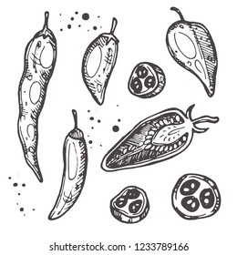 Pepper isolated set. Hand drawn vector illustration. Can be used for street festival, farmers market, country fair, shop, menu, cafe, restaurant, poster, banner.