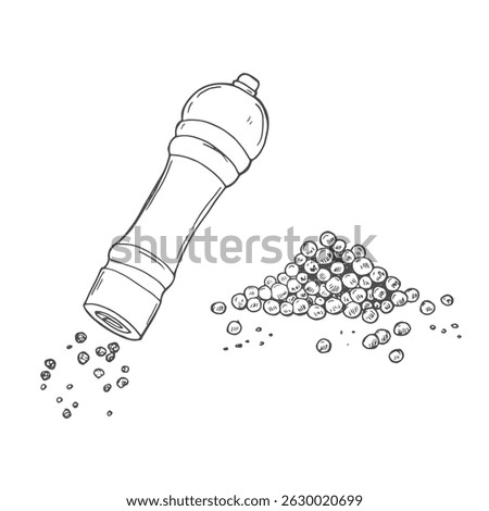 Pepper mill vector drawing. Seasoning and spice grinder sketch. Black pepper shaker.