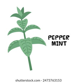 Icono de menta pimienta Clipart avatar logtotype Ilustración vectorial aislada