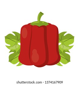 Pepper on leaves fresh vegetable