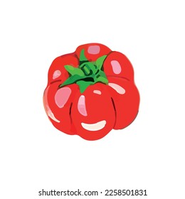Pepper, paprika o capsicum. Pimienta roja cruda, comida vegana. Aromático condicionante. Ilustración vectorial aislada de la especia capsicum y paprika