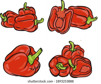 Pimienta paprika set ilustración en vector. Icono de Paprika para el diseño de embalaje de alimentos