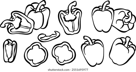 Pepper or paprika vector illustration, line art hand drawn vegetable ink doodle set, isolated