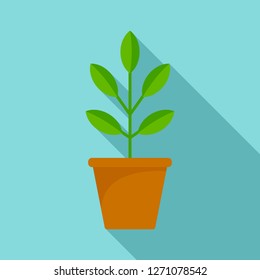 Pepper plant pot icon. Flat illustration of pepper plant pot vector icon for web design