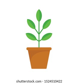 Pepper plant pot icon. Flat illustration of pepper plant pot vector icon for web design