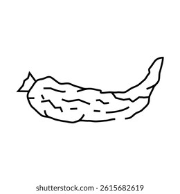 pepper rotten food line icon vector. pepper rotten food sign. isolated contour symbol black illustration