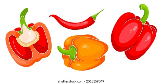 Pepper set. Fresh bell peppers and hot peppers. In a cartoon style. Vector illustration for design and decoration.