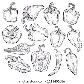 pepper set on white background