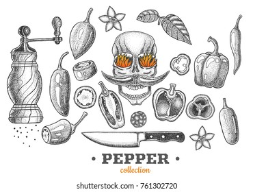 pepper set painted in dotwork style