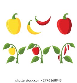 Pepper set and pepper plants vector illustration. Minimalist flat design of bell peppers, chili peppers and growing vegetable plants for garden, farm market and organic food concepts isolated on white
