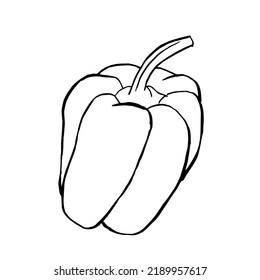 Pepper sketch isolated on white background. Doodle, Vegetables.