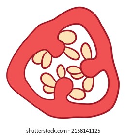Pepper slice icon outline, hand drawn vector. Vegetable chili. Paprika spicy