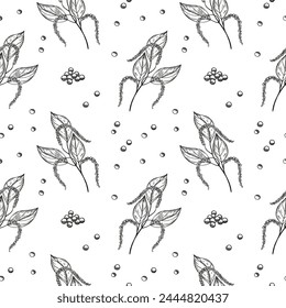 Pepper spice seamless pattern, engraved sketch vector illustration. Repeating texture background with peppercorns condiment, pepper plants. Food ingredient, cooking. Design for label, wrapping, paper