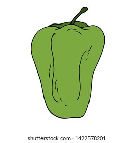 Pepper sweet. Green. Vector illustration.