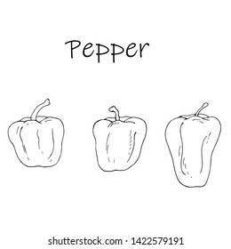 Pepper sweet. Line drawing. Vector illustration.