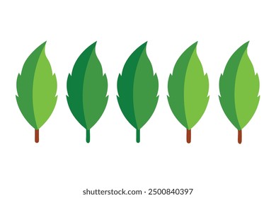 Pepper Tree Leaf Color Art Highlights Nature’s Vibrant Green Leaf Patterns