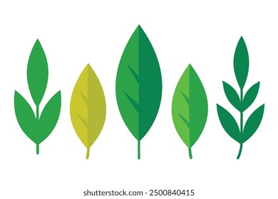 Pepper Tree Leaf Color Art Embraces the Beauty of Green Leaf Designs