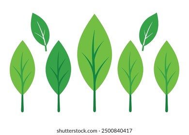 Pepper Tree Leaf Color Art Celebrates the Freshness of Vibrant Green Leaves