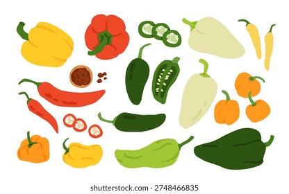 Pepper variety set. Bell, chili, jalapeno, habanero, banana, poblano, cayenne, sweet pepper types. Vegetable collection hand drawn vector illustration