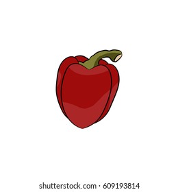 Pepper vector icon. Color illustration.