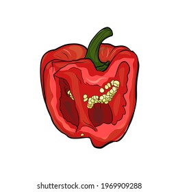 Pepper vector illustration isolated on white background. Drawing vegetables for logo printing, icons, menus, farm, seedlings
