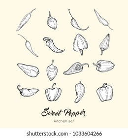 Pepper vector isolate set. Hand drawn illustration sweet bulgarian bell paprika capsicum chili hot pepper. Black white line icon logo label poster print. Vegetables vector illustration sketch pepper