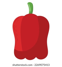 pepper vegetable icon isolated design