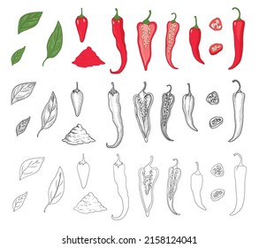 Pepper vegetable icons set outline, hand drawn vector. Hot chili. Green spicy