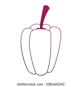 Pepper vegetable isolated on purple lines