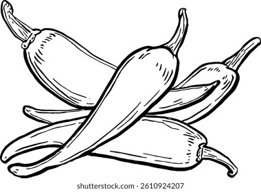Pepper. Vegetables. Hand drawn vector isolated sketch.