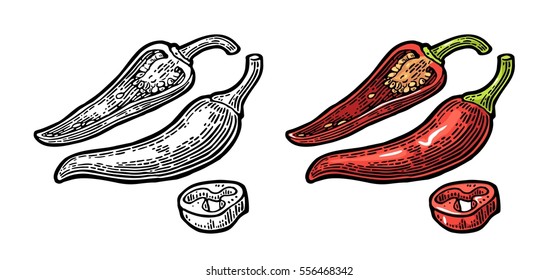 Pepper whole, half and slice. Vector vintage color and black engraved illustration for menu, poster, web. Isolated on white background.