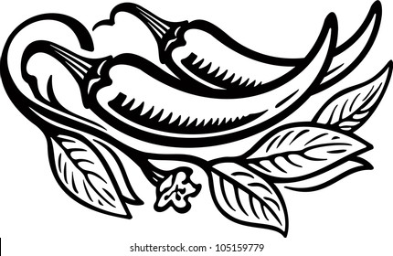 Pepper2 engrawing picture. Vector illustration