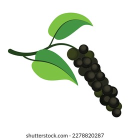 Peppercorn en una rama. Icono de planta negra de Peppercorn. Ilustración vectorial aislada en fondo blanco. Para etiqueta de plantilla, embalaje, web, menú, logotipo, textil, icono