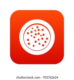 Peppercorns on a plate icon digital red for any design isolated on white vector illustration