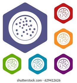 Peppercorns on a plate icons set hexagon isolated vector illustration