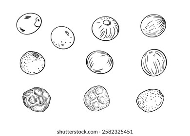 Peppercorns various black white vector illustrations. Various dried seeds, cardamom, allspice monochrome simple drawing. Black, white, red peppers in line art painted contour for menu, label.