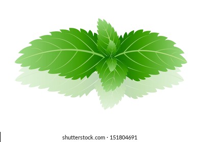 36,696 Cartoon mint Images, Stock Photos & Vectors | Shutterstock