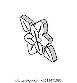 peppermint aromatherapy isometric icon vector. peppermint aromatherapy sign. isolated symbol illustration