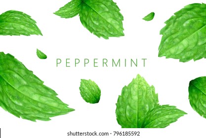 Peppermint background design, refreshing leaves floating in the air, 3d illustration