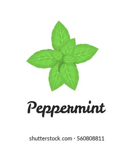 Peppermint Color Flat Icon For Web And Mobile Design