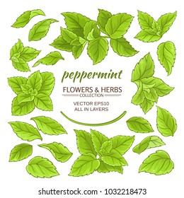 peppermint elements set