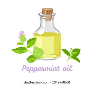 Peppermint essential oil. Glass bottle with mint oil and fresh leaves isolated on white background. Vector illustration in cartoon flat style.