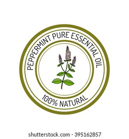 Peppermint, essential oil label, aromatic plant. Vector illustration
