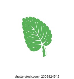 Peppermint. Fresh Mint Green Leaf icon. Medicinal Plants and Spicy Herbs. Vector illustration.