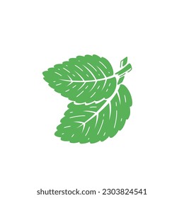 Peppermint Green Leaves icon. Fresh Mint Leaf. Medicinal Plants and Spicy Herbs. Vector illustration.